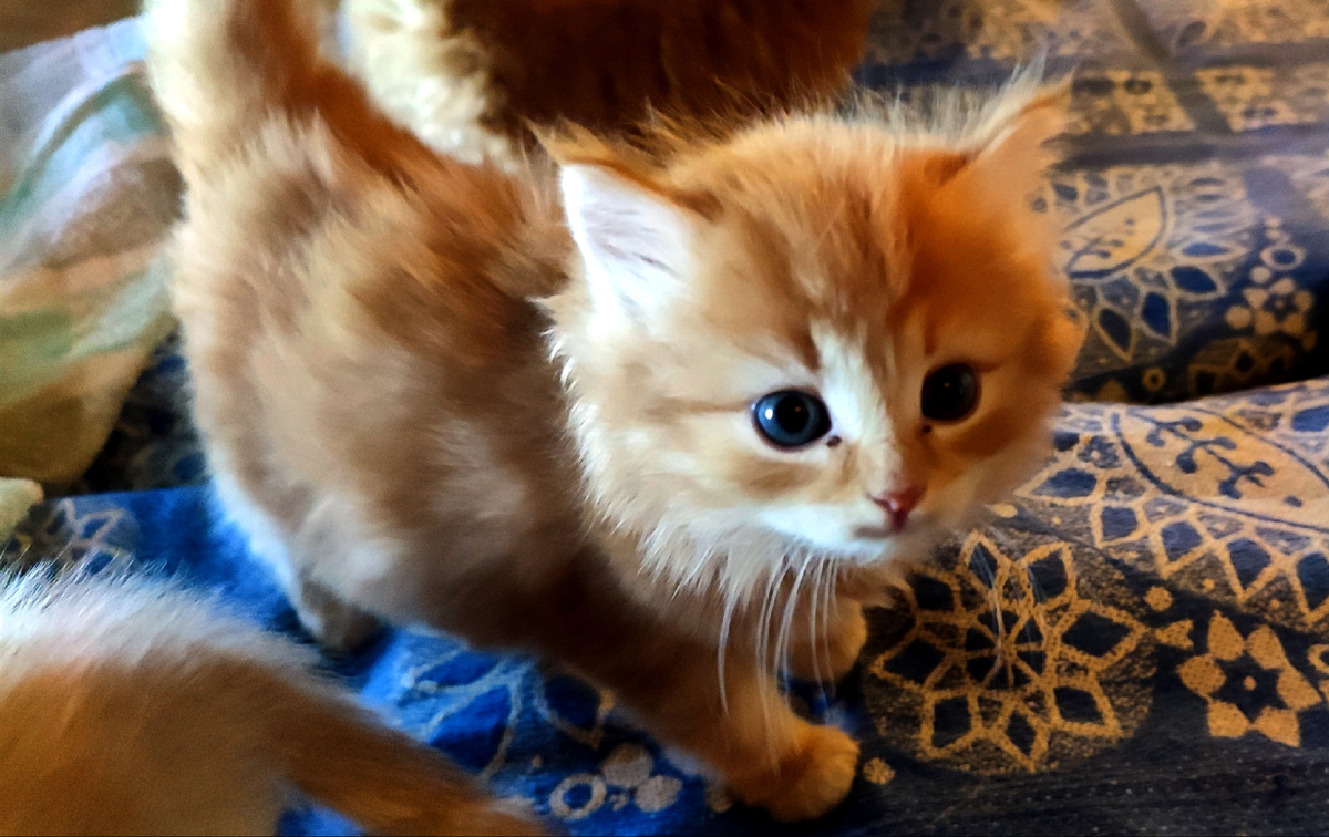 Я не смелый.... я просто красивый 😊