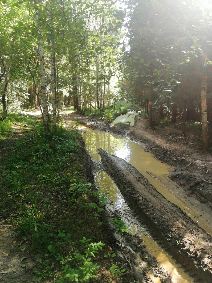 Дорога до указателя, розовые отметки трейла. 