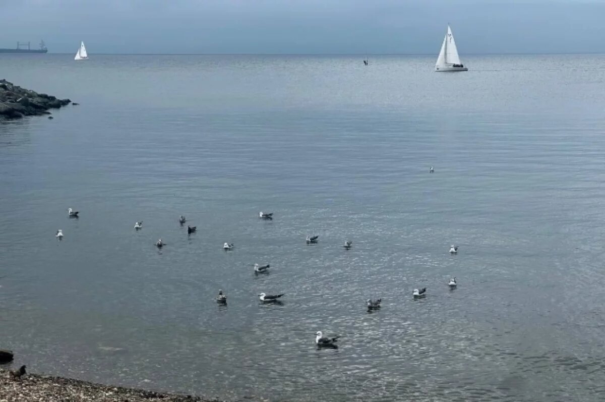    Во Владивостоке арендатор пляжа на мысе Кунгасном лишился территории