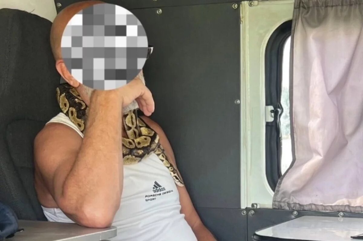    Пьяный житель Камчатки со змеёй на шее пожаловался на лишение прав