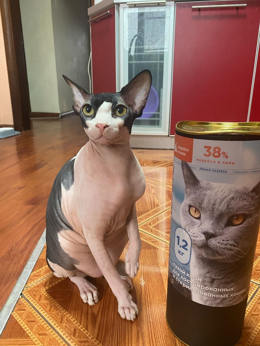 Больше фото от наших клиентов у меня в профиле!