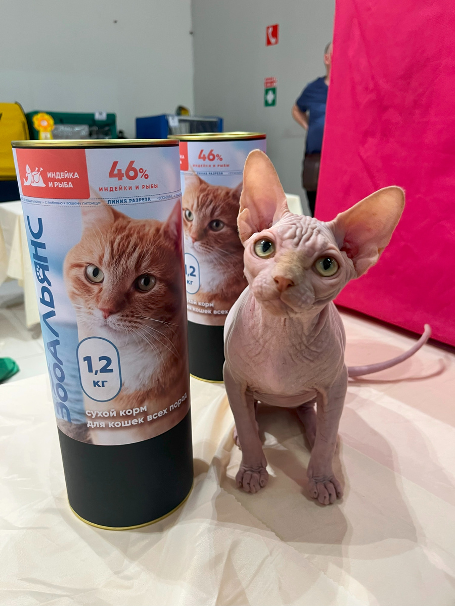 Не забудьте лайк этому милахе!