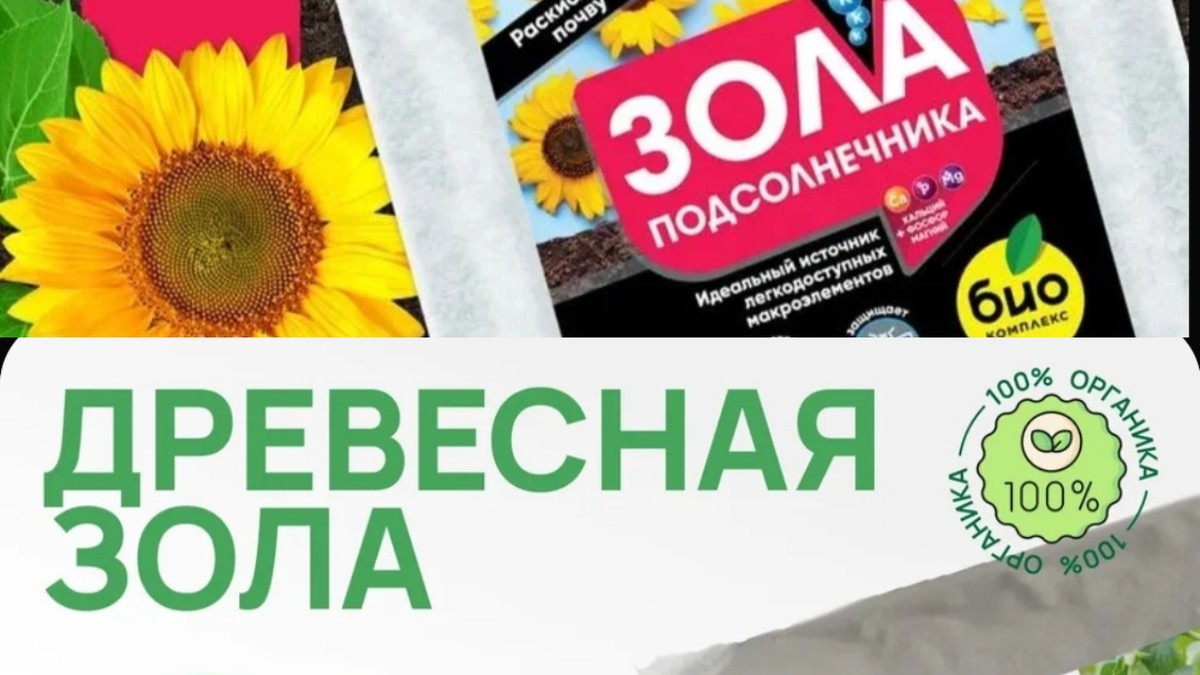 Фотоколлаж. Два вида золы: древесная и подсолнечника