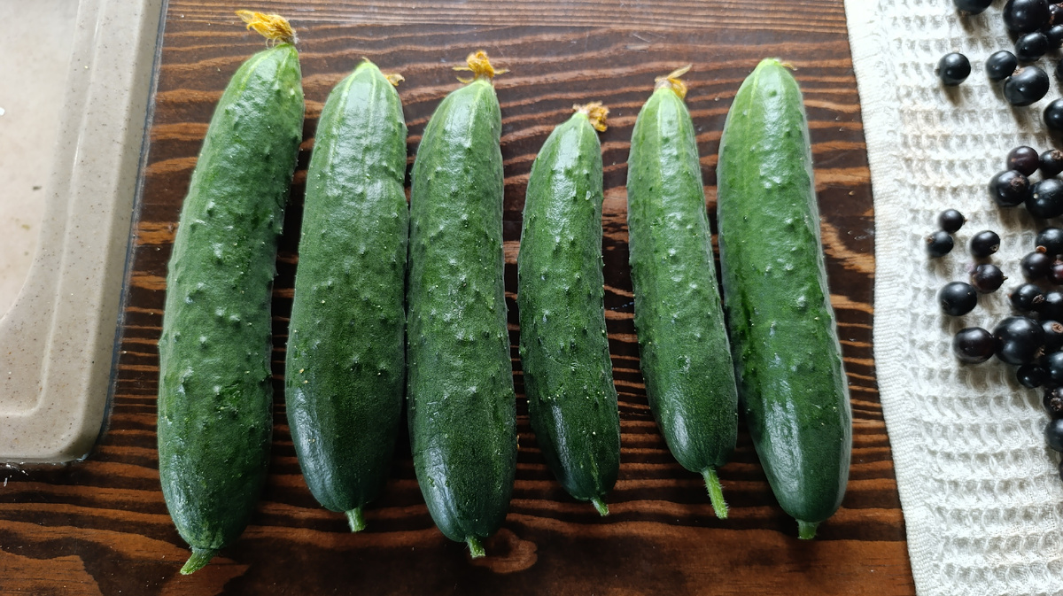 Сорт "Настоящий полковник"