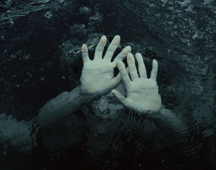 Изображение взято из открытых источников интернета. 