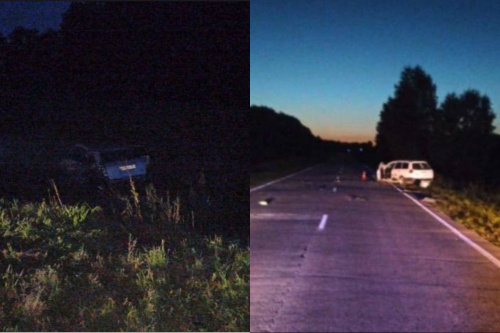    Фото: ГАИ НСО