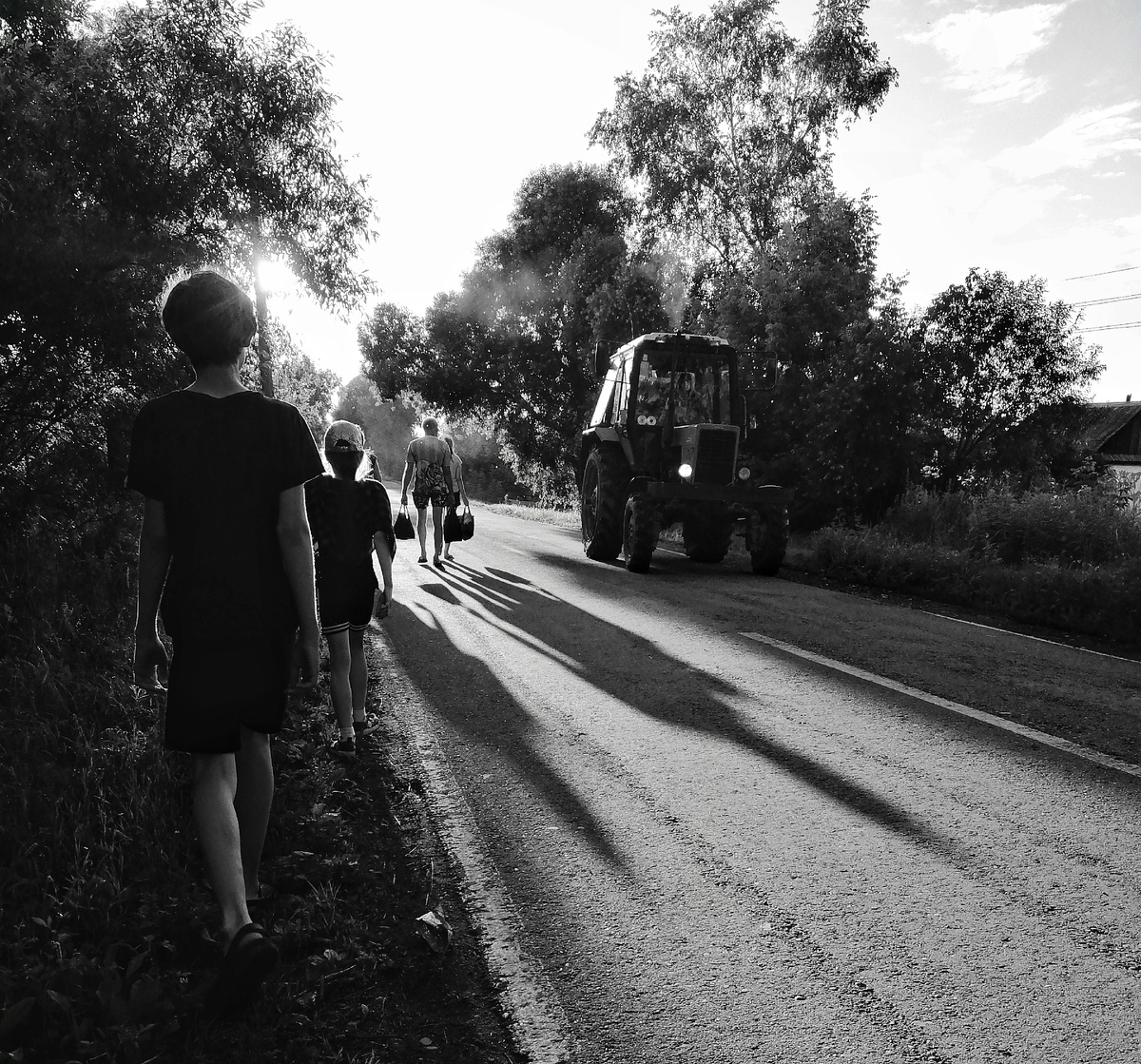 Сельская дорога. 