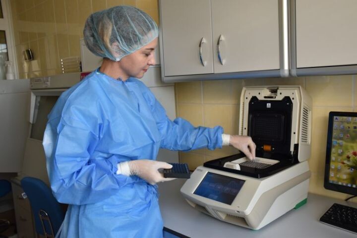    Фото:пресс-служба Россельхознадзора