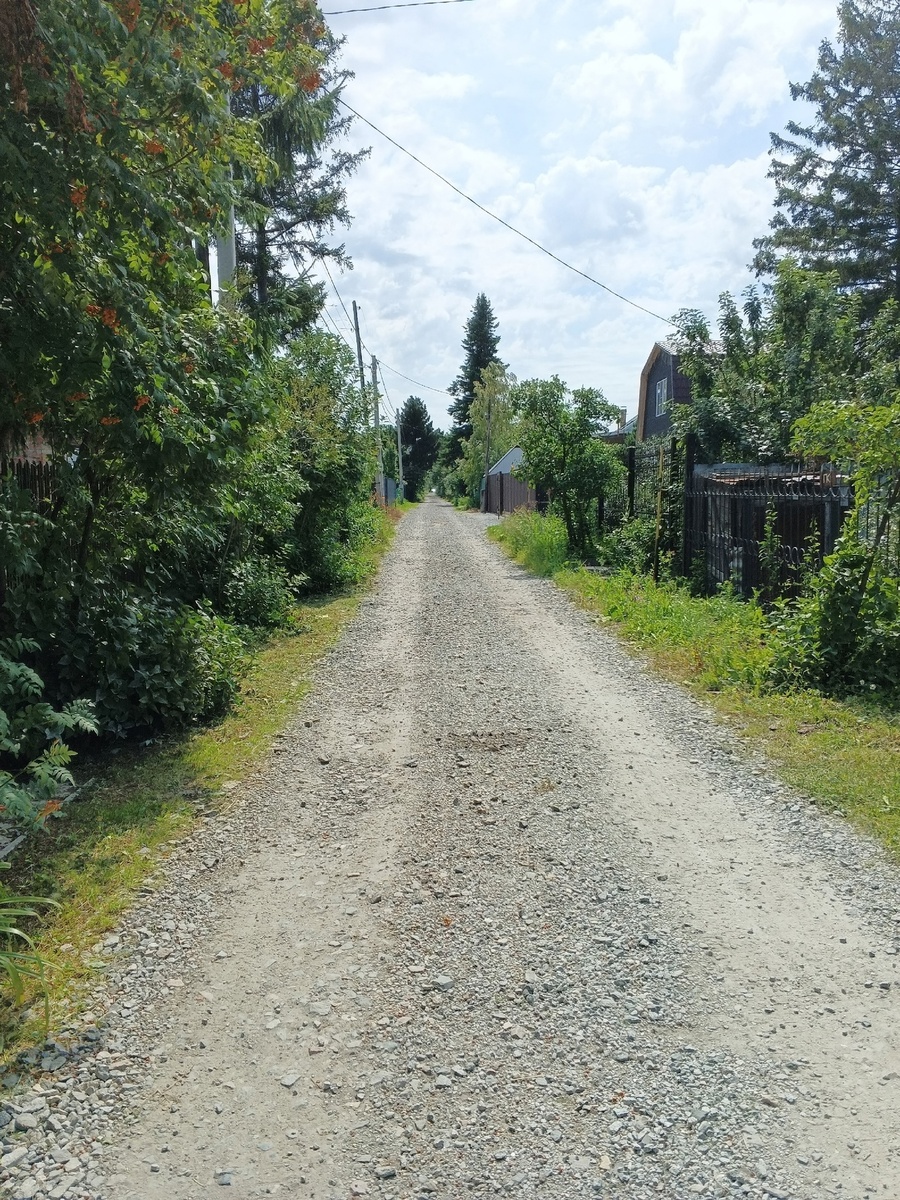 Аллея образца 23.07.2025