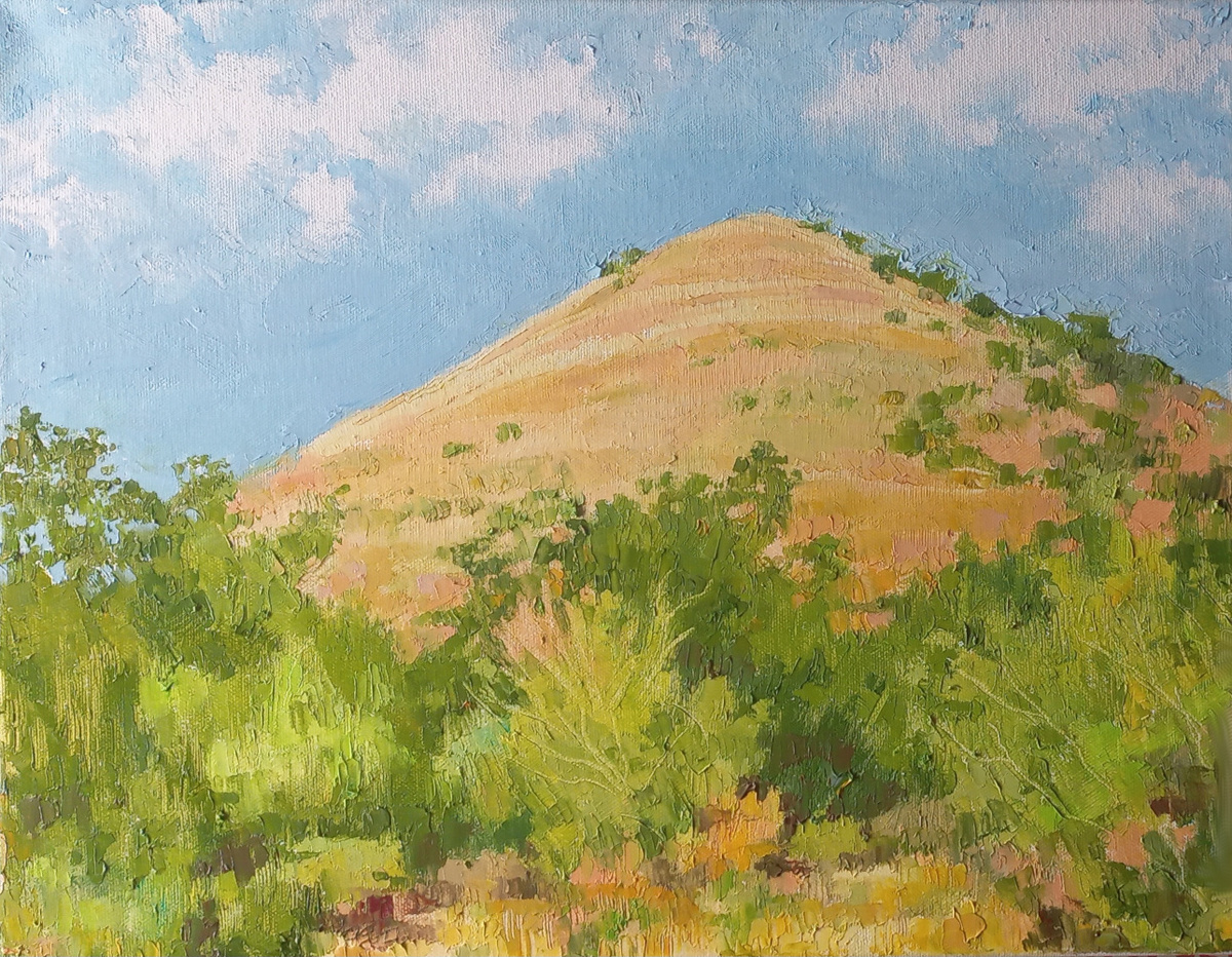 «Террикон шахты «Заперевальная». Жаркий июль 2025 года в Донецке»
холст. Масло. 2025 г.  Канал "Донецк есть"
