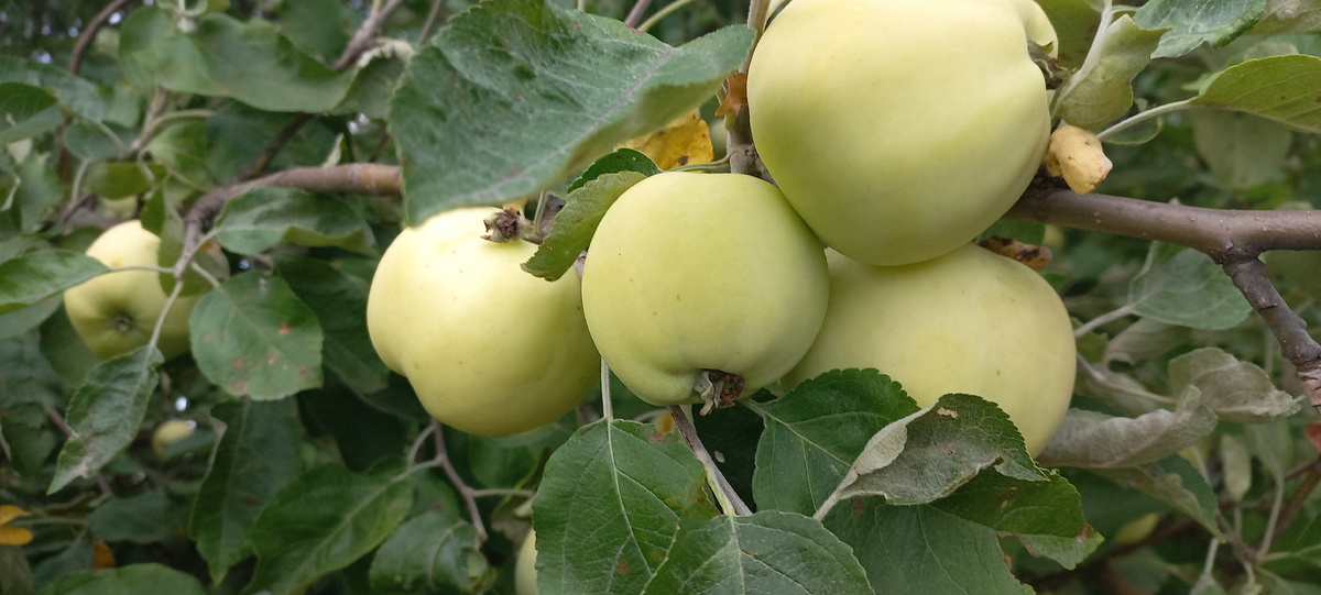 Фото личное