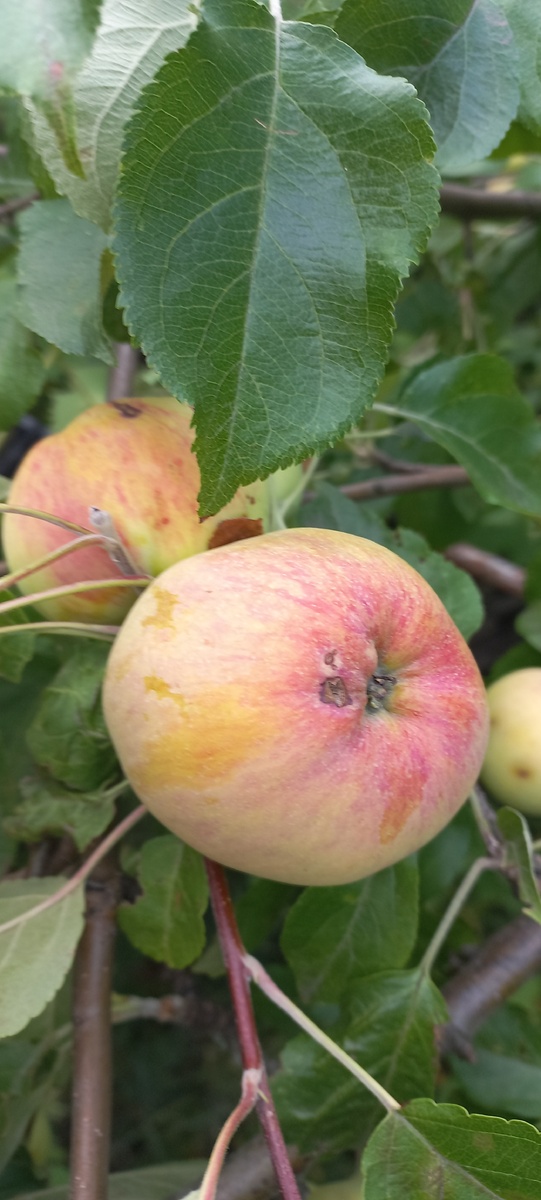 Фото личное