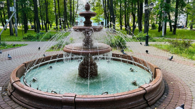 Фото: Администрация МО Мгинское городское поселение