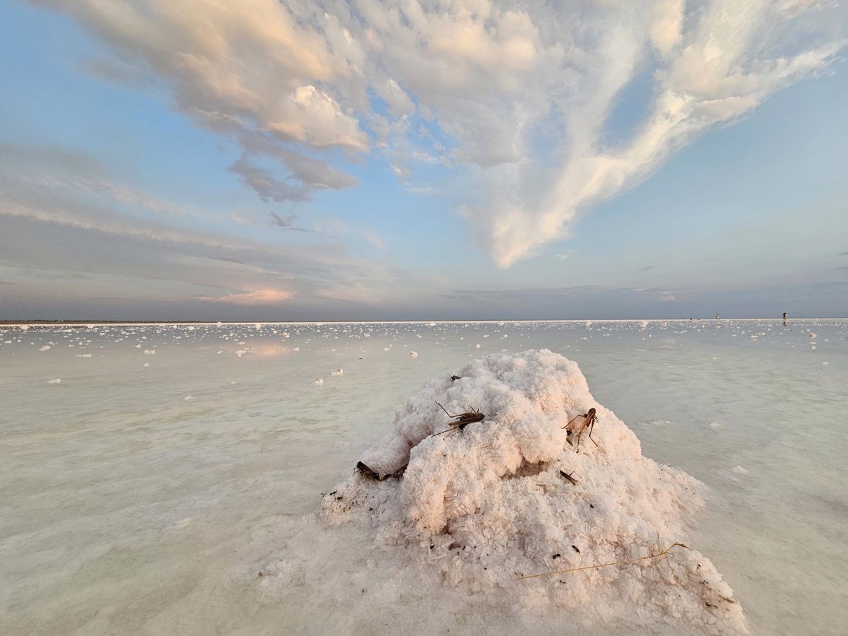 Озеро известно своими лечебными грязями и рапой - высококонцентрированным раствором солей
