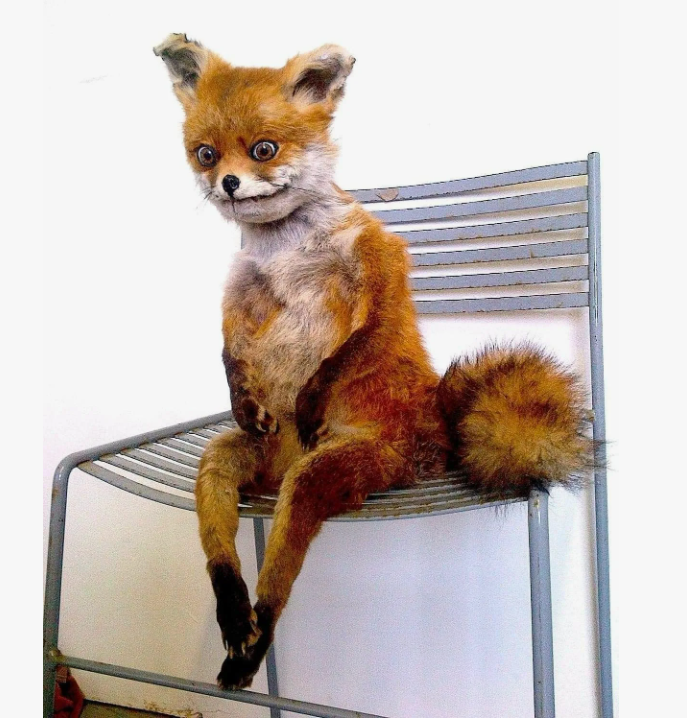 портрет упоротого лиса будет как нельзя кстати в качестве иллюстрации к статье :)