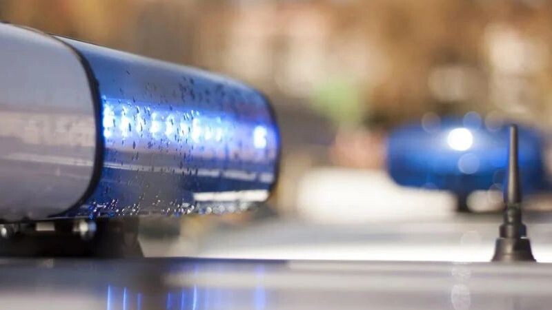    Фото: Siarhei Kuranets/Shutterstock/Fotodom