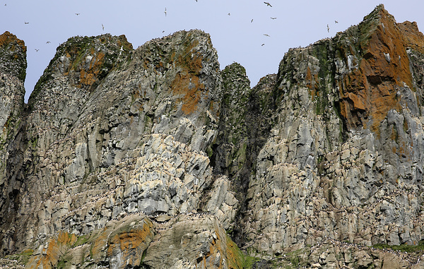    Мыс Флора (Земля Франца-Иосифа)  Ирина Скалина/ТАСС