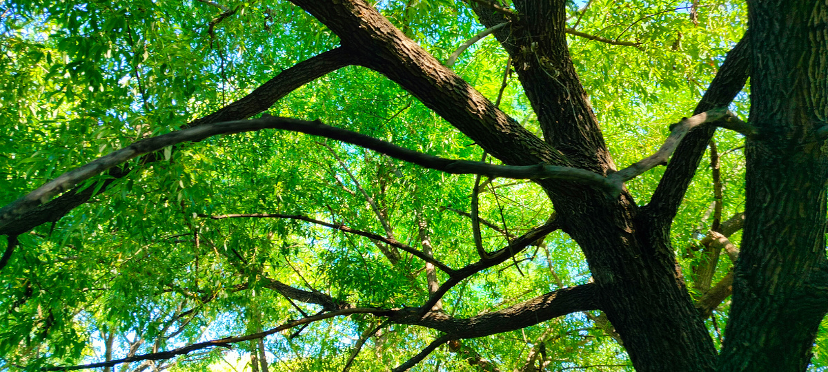 Вам, должно быть, нелегко живётся, если вы всё ещё верите в справедливость.  Эрих Мария Ремарк. Время жить и время умирать 