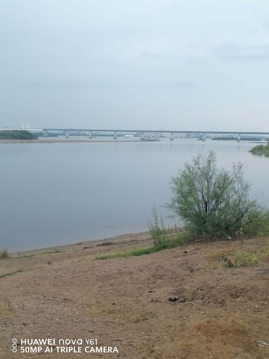 Вон там видится мост через Амур