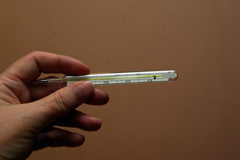    Фото: Baltphoto / Елена Яковлева