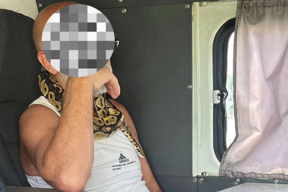     Госавтоинспекция Камчатского края/Telegram