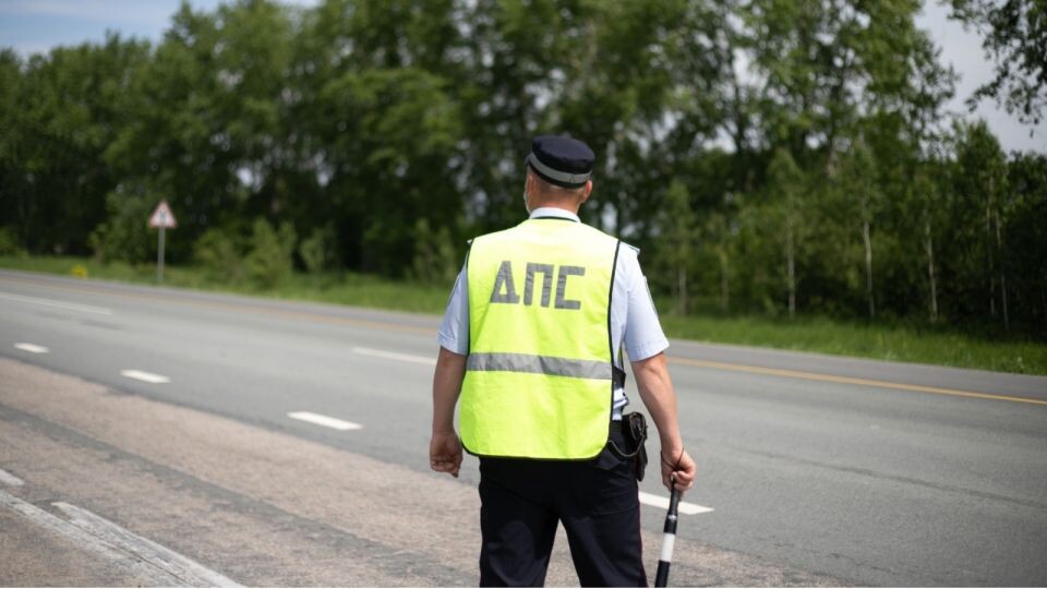    ДПС. Трасса. Источник: Анна Меньшикова, "Толк"