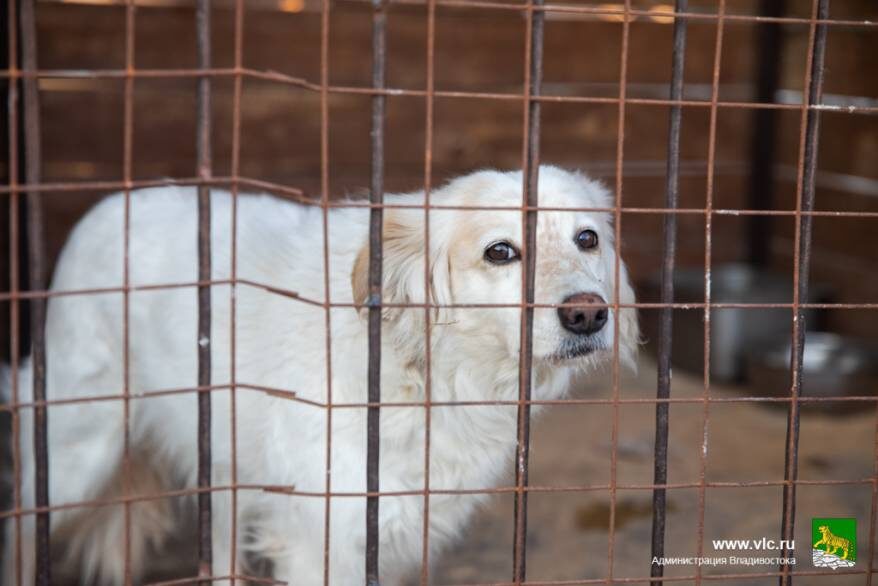    Источник фото: