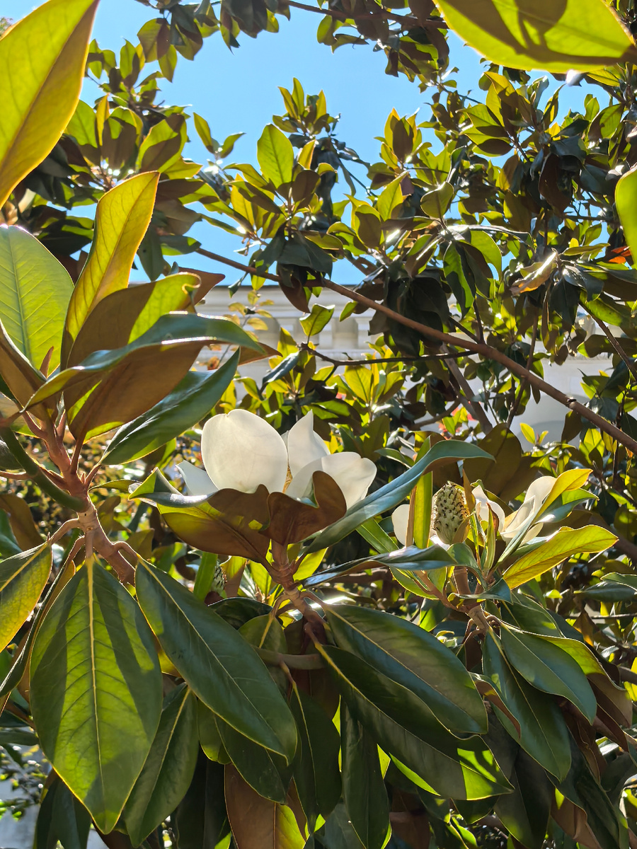 Фото для статьи сделаны  21 июля 2025 года.  