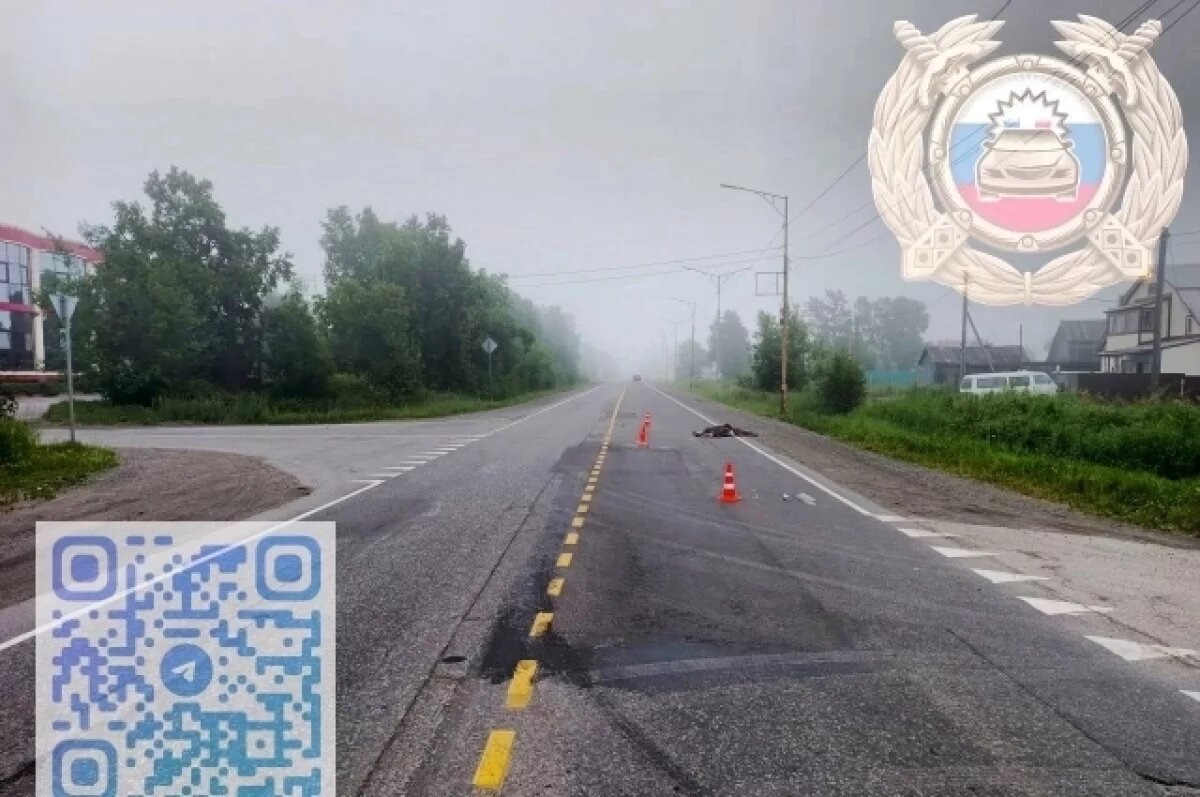    Уголовное дело возбуждено по факту смертельного ДТП в Елизовском районе