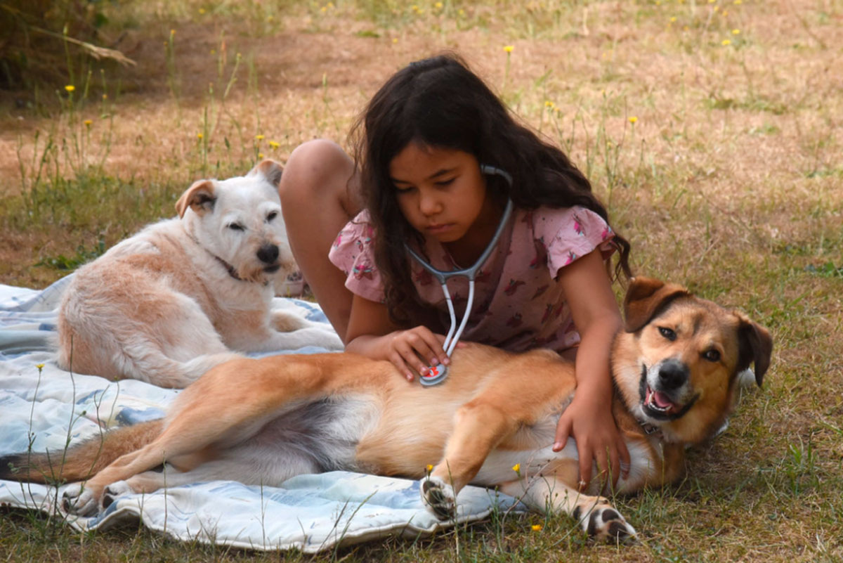 Мы чувствуем не из-за мозга, а потому что мы живы