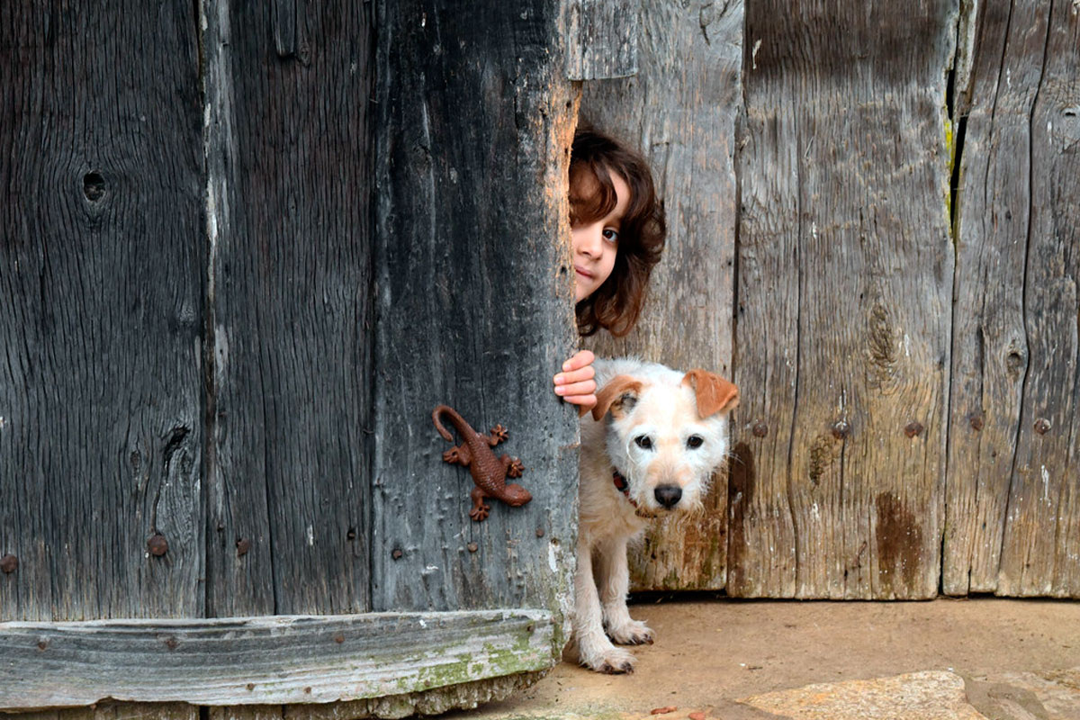 Мозг не создаёт сознание — он его развивает и обогащает