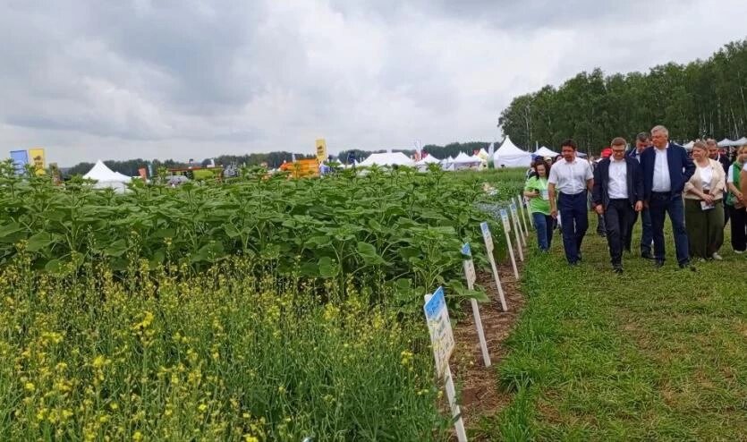 Фото: Евгения Александрова