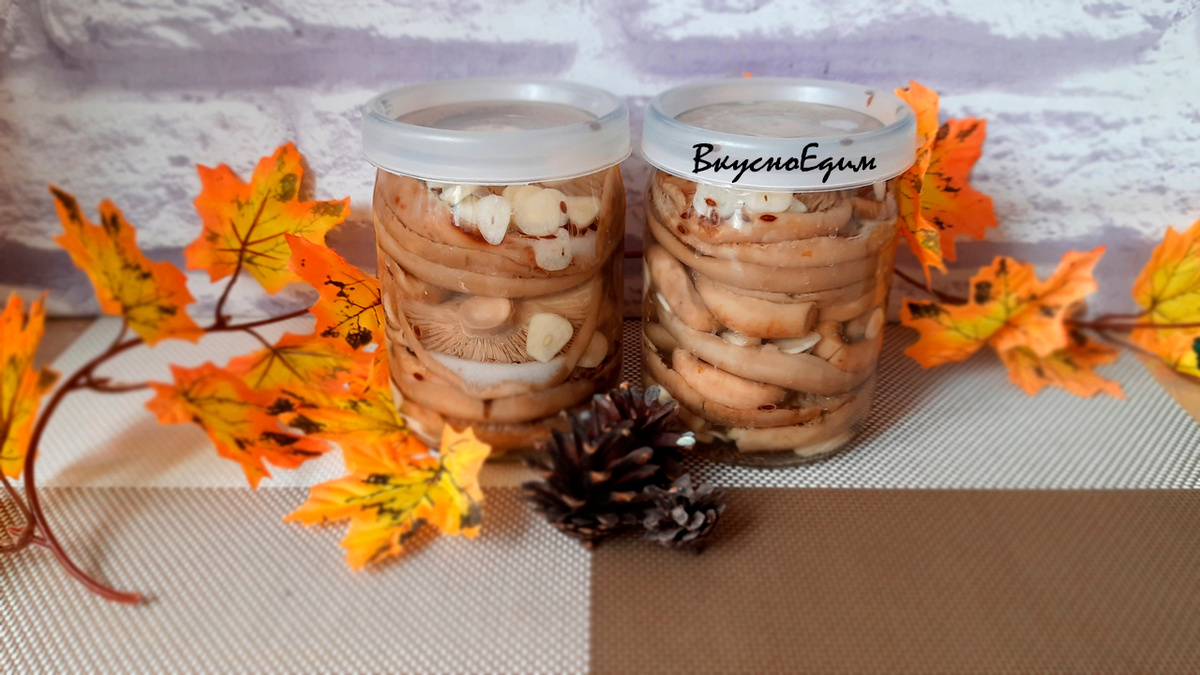 Грузди соленые