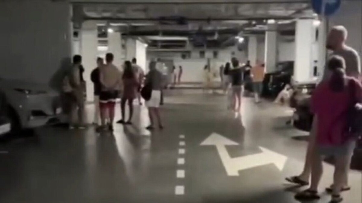    Фото: скриншот.