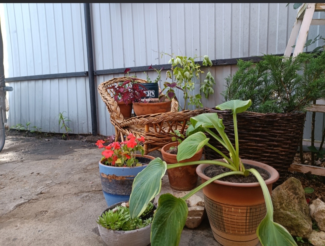 Первые дни контейнерного садика