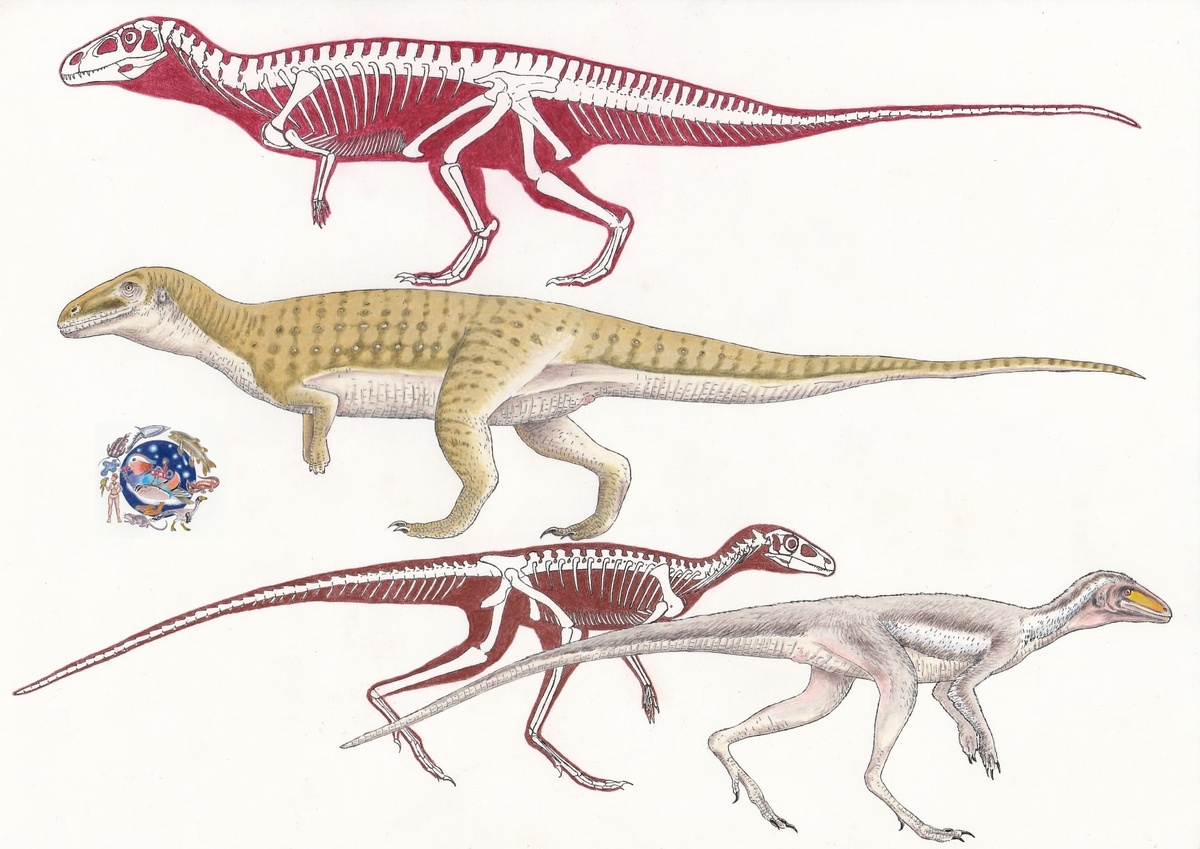 Попозавр (сверху) и ранний динозаврообразный маразух (снизу), хотя возможно он является синонимом другого динозаврообразного – лагозуха.