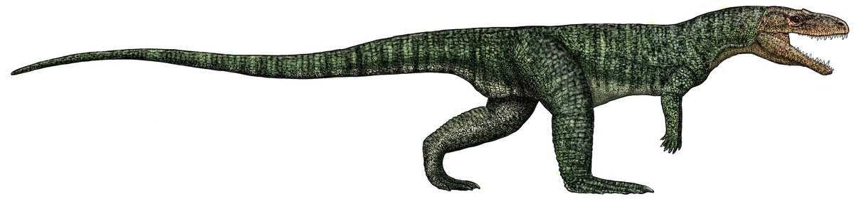 Попозавр (Poposaurus gracilis).