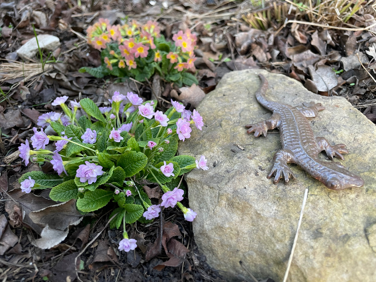 Детсадовец покрасил, и декор готов