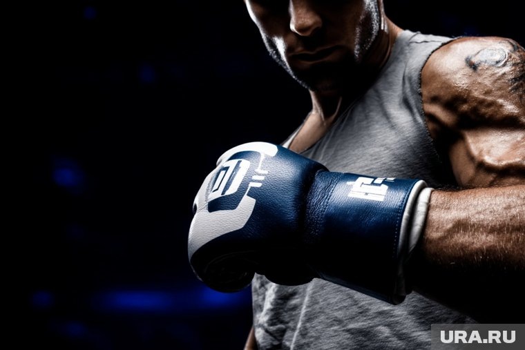  Подпольные ММА-клубы превратили спорт в оружие  📷
