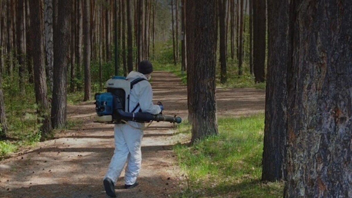     Источник: vk.com/grivapark