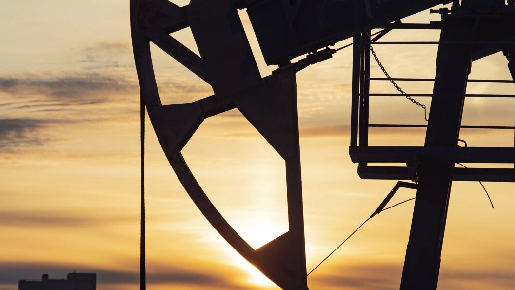    Oleg Spiridonov/Globallookpress