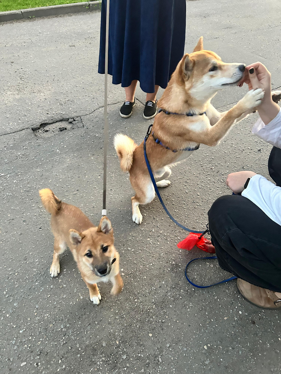 Встреча с Саней