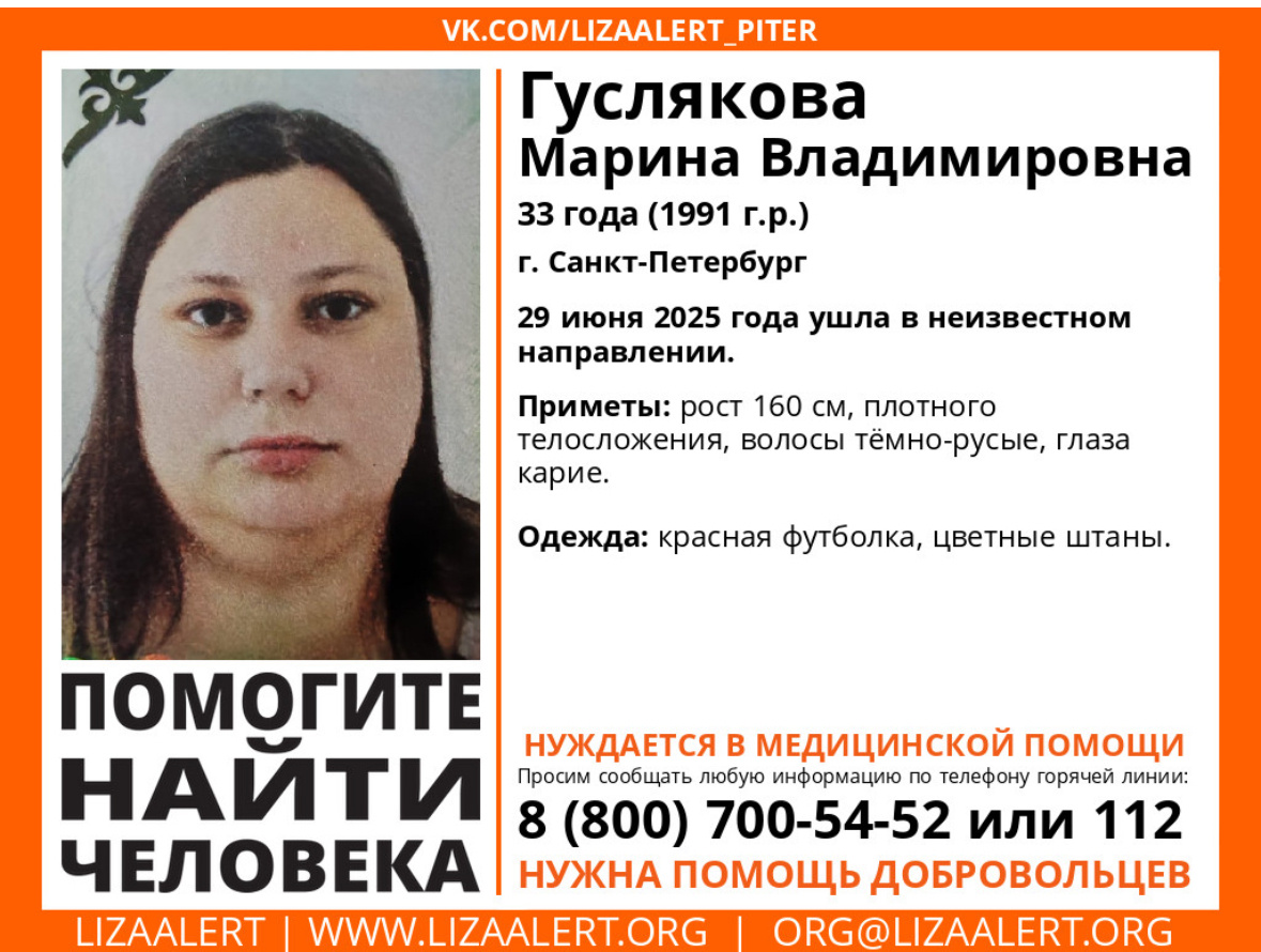 Ориентировка на печать с официального сайта «ЛизаАлерт»