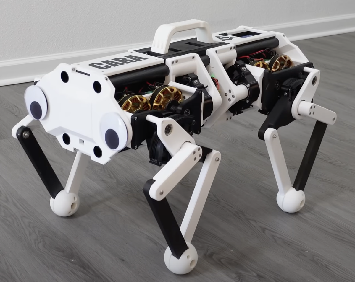 CARA. Источник: https://www.aaedmusa.com/projects/cara