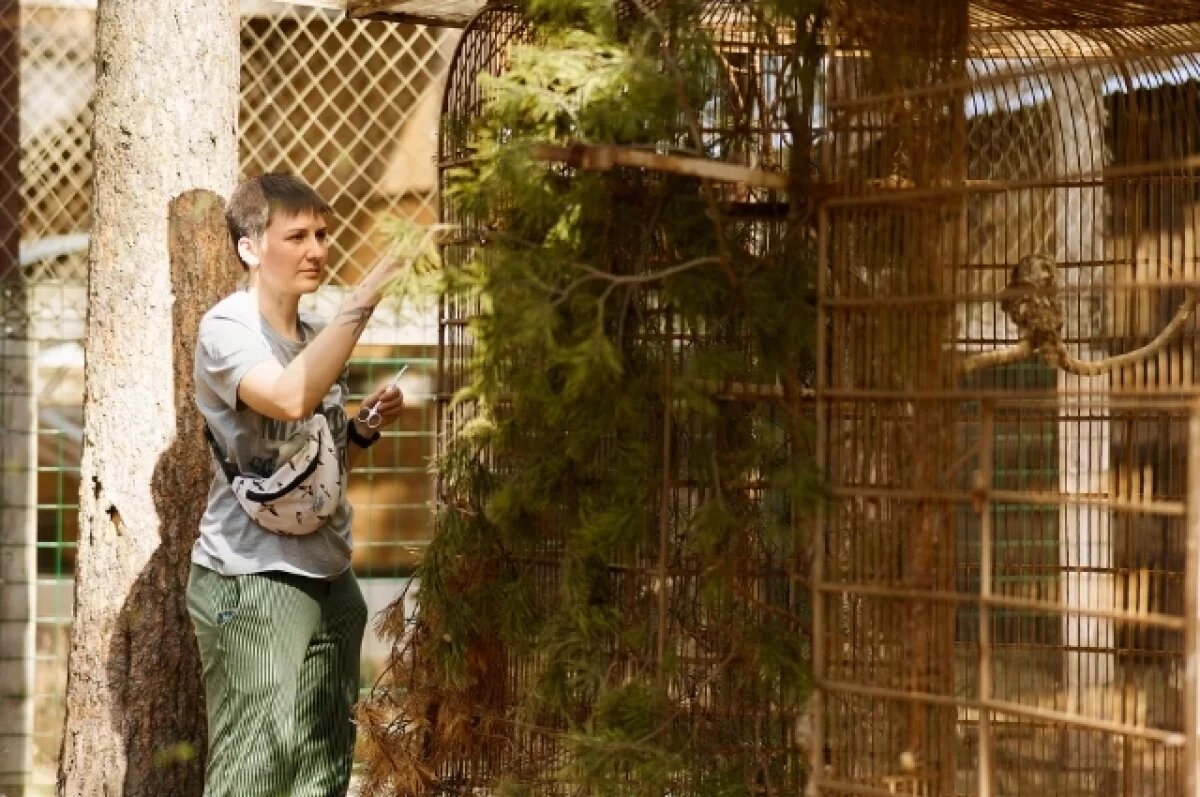    Сотрудники ВИЗ-Стали победили в конкурсе эковолонтерских проектов