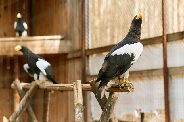    Фото: пресс-служба «ВИЗ-Сталь»