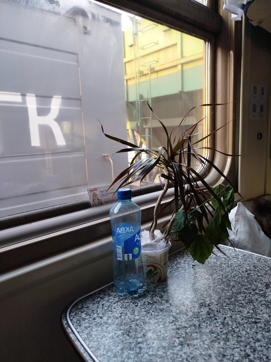 кто то из пассажиров вез с собой растения, а я было подумала, что это сервис такой))))))