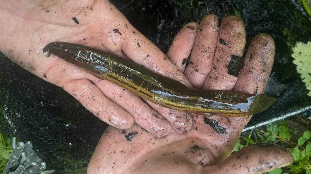    Фото: сообщество "К лесу передом"