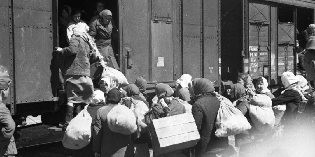 «Мама зашила в подол карман для кишок. Это была не жестокость — это было спасение»