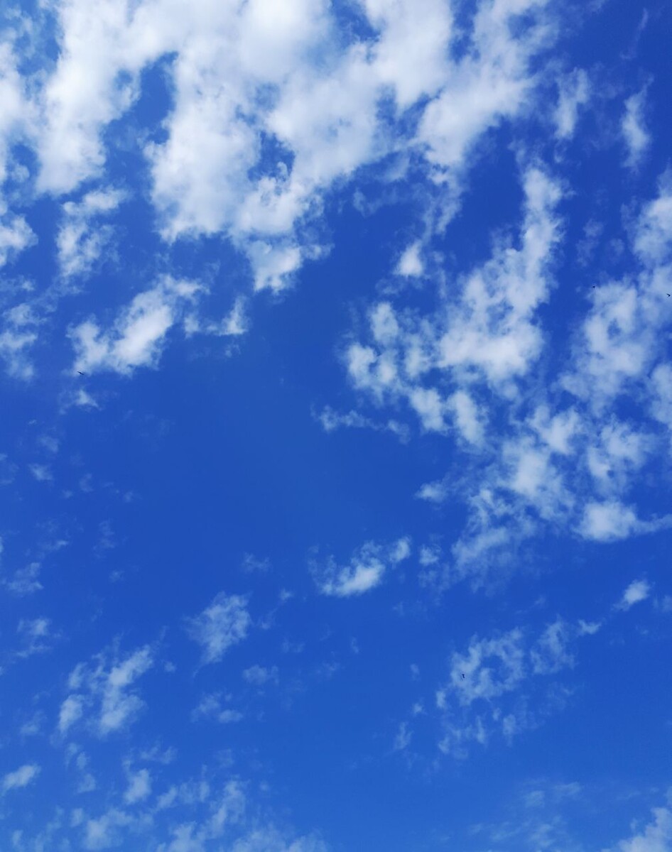 Фото автора статьи 24.07.2025г.